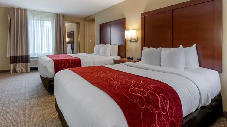 Comfort Suites Billings Room