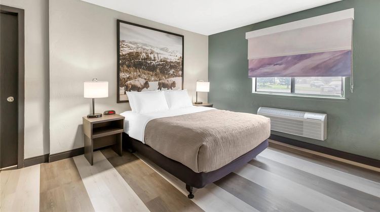 Quality Inn Room