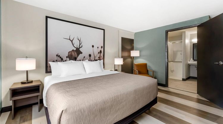 Quality Inn Room