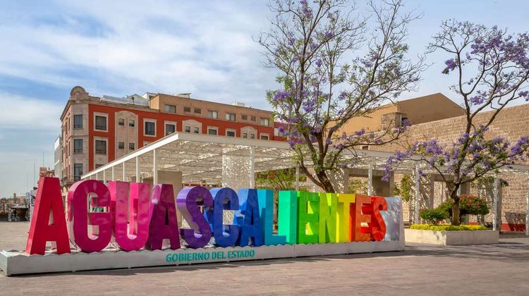Quality Inn Aguascalientes Other