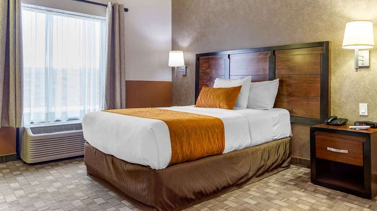 Comfort Inn Room