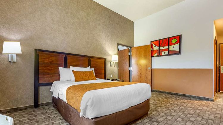 Comfort Inn Room