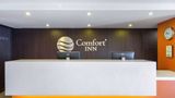 <b>Comfort Inn San Luis Potosi Lobby</b>. Images powered by <a href="https://iceportal.shijigroup.com/" title="IcePortal" target="_blank">IcePortal</a>.