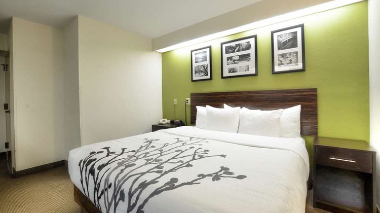 Sleep Inn Room