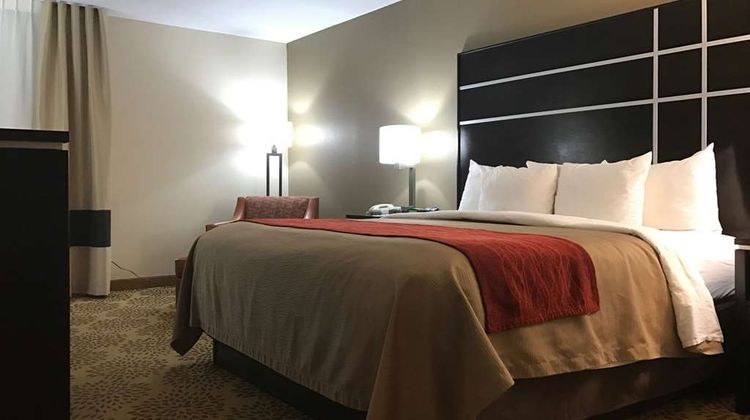 Comfort Inn North of Asheville Room