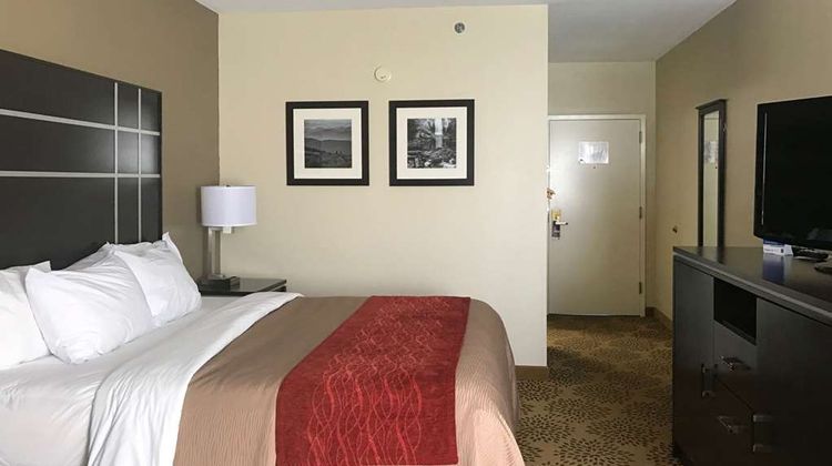Comfort Inn North of Asheville Room