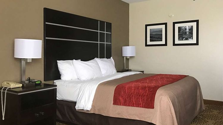 Comfort Inn North of Asheville Room