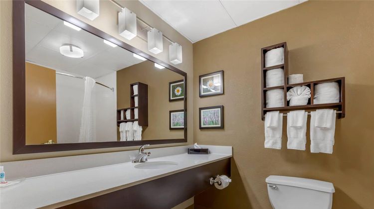 Comfort Suites Room