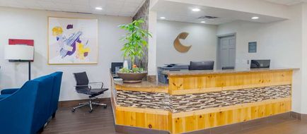 Comfort Inn Asheville Arpt Lobby