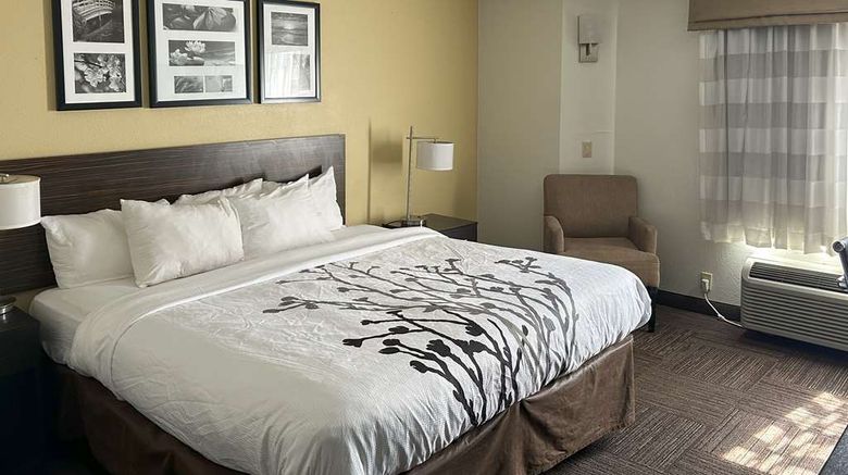<b>Sleep Inn Wilson Room</b>. Images powered by <a href="https://iceportal.shijigroup.com/" title="IcePortal" target="_blank">IcePortal</a>.