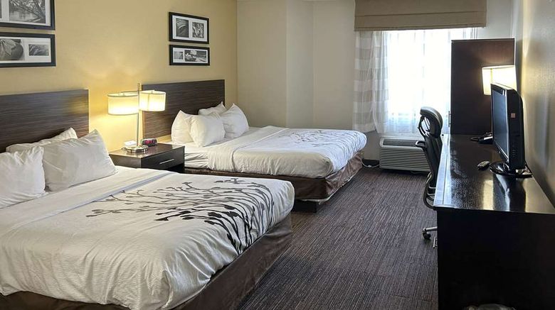 <b>Sleep Inn Wilson Room</b>. Images powered by <a href="https://iceportal.shijigroup.com/" title="IcePortal" target="_blank">IcePortal</a>.