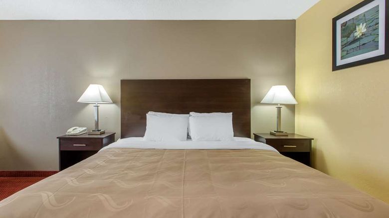 <b>Quality Inn Williamston Room</b>. Images powered by <a href="https://iceportal.shijigroup.com/" title="IcePortal" target="_blank">IcePortal</a>.
