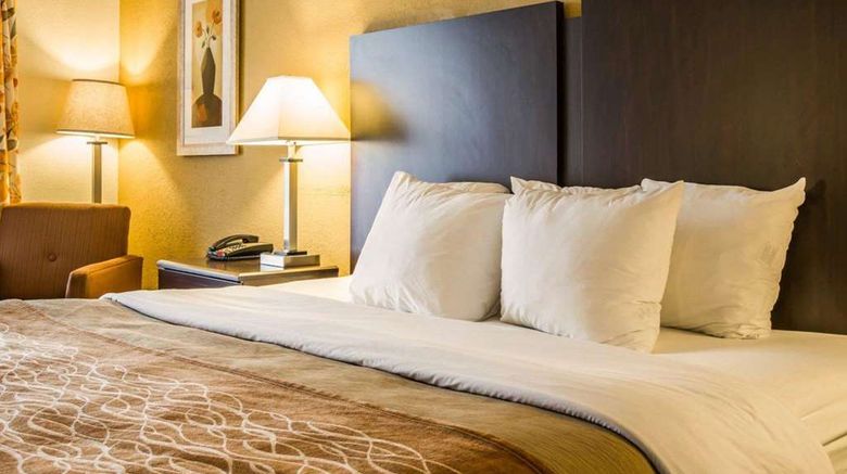 <b>Quality Inn Jonesville Room</b>. Images powered by <a href="https://iceportal.shijigroup.com/" title="IcePortal" target="_blank">IcePortal</a>.