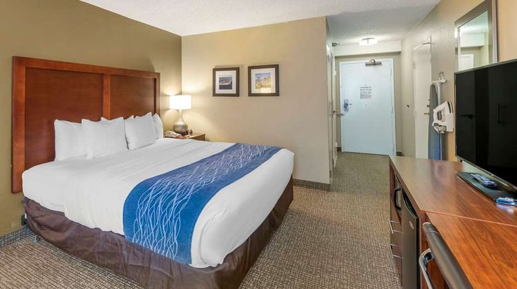 Comfort Inn Room