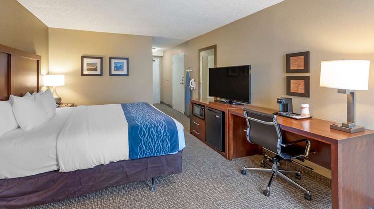 Comfort Inn Room