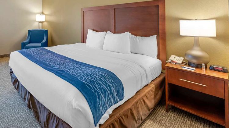 Comfort Inn Room