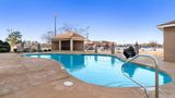 Comfort Suites Lumberton North Pool