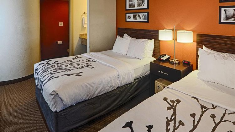 Sleep Inn & Suites near Ft Bragg Room