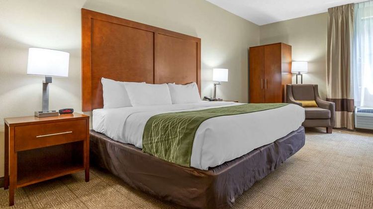 Comfort Inn Room