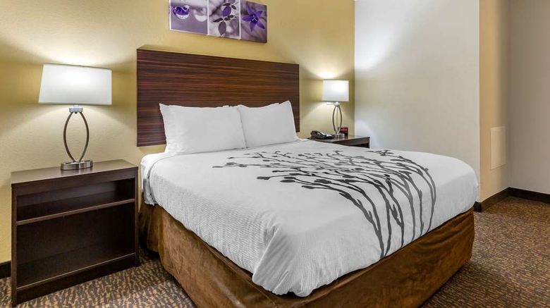 <b>Sleep Inn Room</b>. Images powered by <a href="https://iceportal.shijigroup.com/" title="IcePortal" target="_blank">IcePortal</a>.