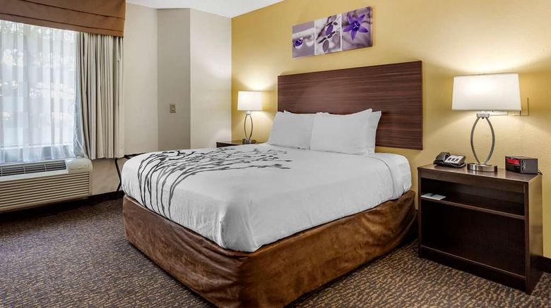 <b>Sleep Inn Room</b>. Images powered by <a href="https://iceportal.shijigroup.com/" title="IcePortal" target="_blank">IcePortal</a>.