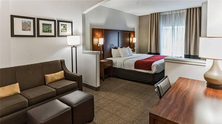 Comfort Suites Suite
