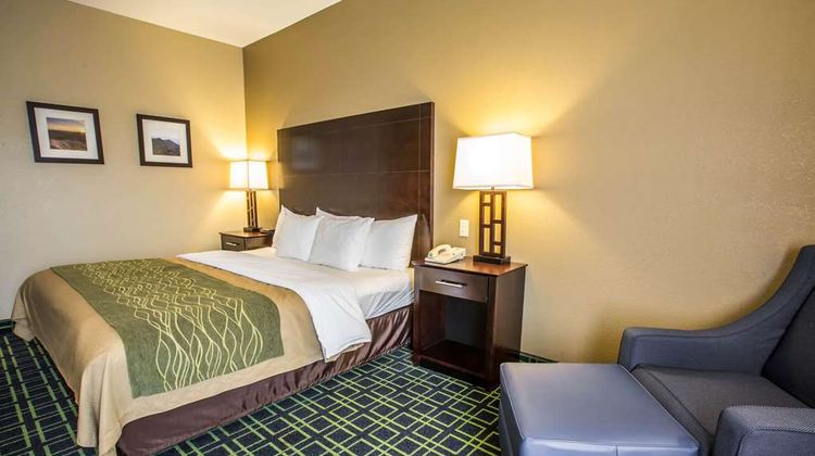 Quality Inn Room
