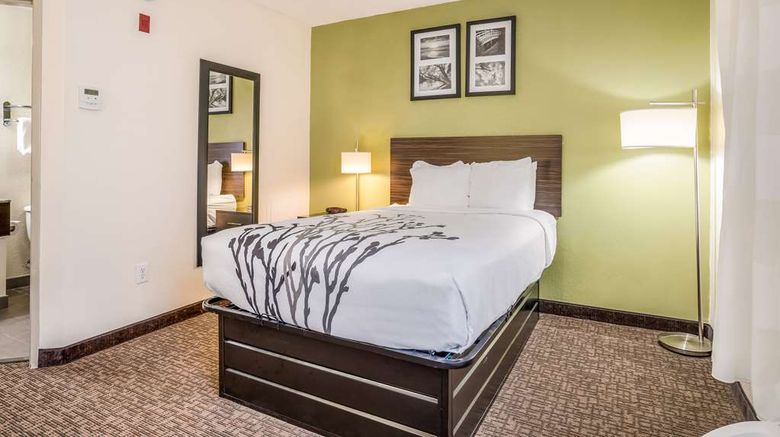 <b>Sleep Inn Room</b>. Images powered by <a href="https://iceportal.shijigroup.com/" title="IcePortal" target="_blank">IcePortal</a>.