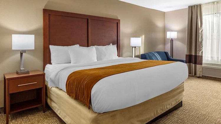 Comfort Inn Room