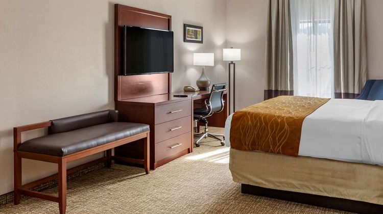Comfort Inn Room