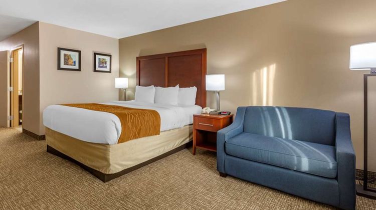 Comfort Inn Room