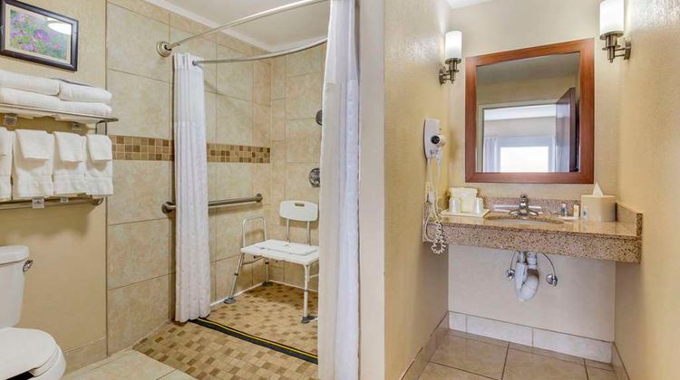 Comfort Suites Wilson I-95 Room