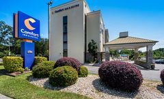 Comfort Inn Medical Park