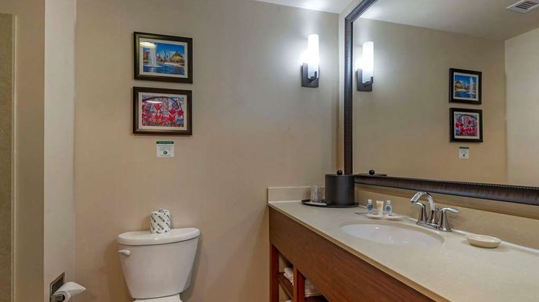 <b>Comfort Suites Lake Norman  Huntersville Room</b>. Images powered by <a href="https://iceportal.shijigroup.com/" title="IcePortal" target="_blank">IcePortal</a>.