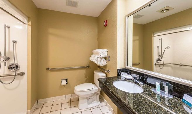 Quality Inn & Suites, Flat Rock Room