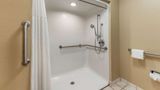 <b>Quality Inn & Suites, Flat Rock Suite</b>. Images powered by <a href="https://iceportal.shijigroup.com/" title="IcePortal" target="_blank">IcePortal</a>.