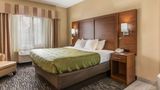 <b>Quality Inn & Suites, Flat Rock Room</b>. Images powered by <a href="https://iceportal.shijigroup.com/" title="IcePortal" target="_blank">IcePortal</a>.