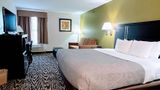 Quality Inn & Suites Clemmons I-40 Suite