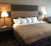 Quality Inn & Suites University Room
