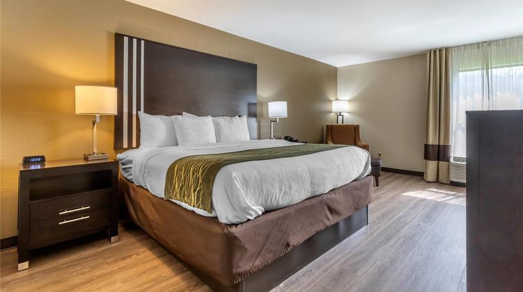 Comfort Inn Marion Room