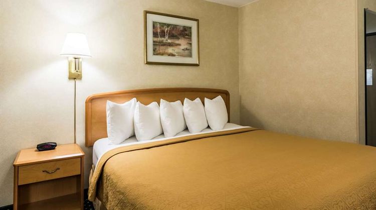 Quality Inn Room