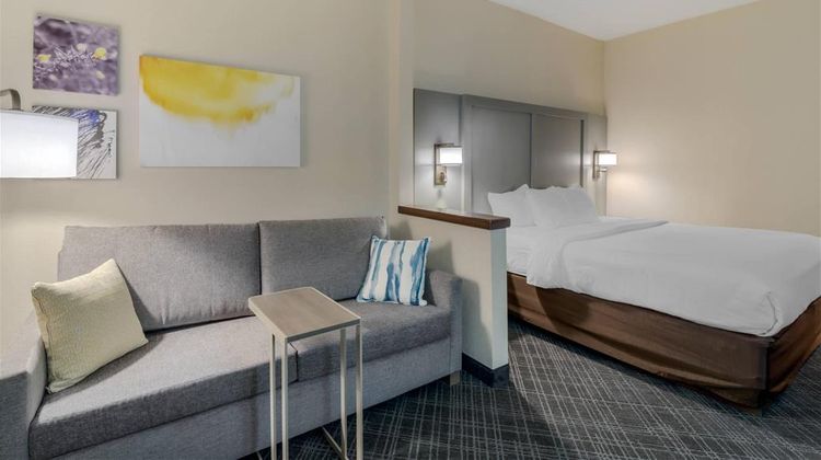Comfort Inn Suite