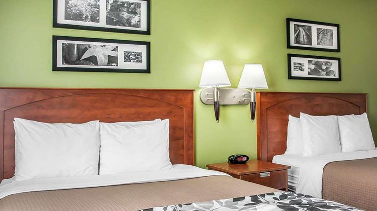 Sleep Inn & Suites Room