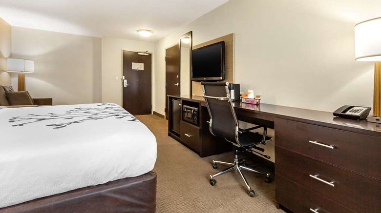<b>Sleep Inn & Suites Suite</b>. Images powered by <a href="https://iceportal.shijigroup.com/" title="IcePortal" target="_blank">IcePortal</a>.