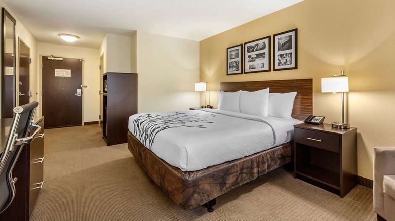 <b>Sleep Inn & Suites Room</b>. Images powered by <a href="https://iceportal.shijigroup.com/" title="IcePortal" target="_blank">IcePortal</a>.