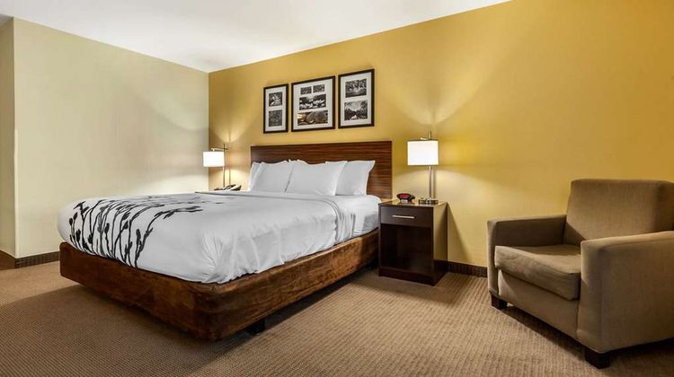 Sleep Inn & Suites Room