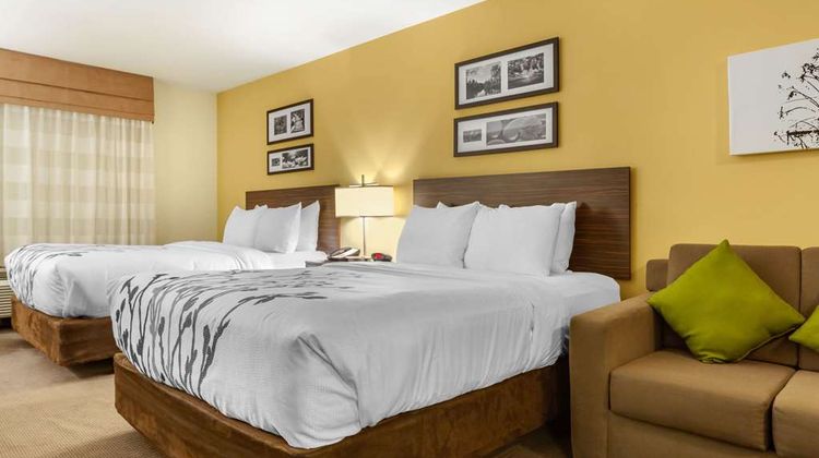 Sleep Inn & Suites Suite