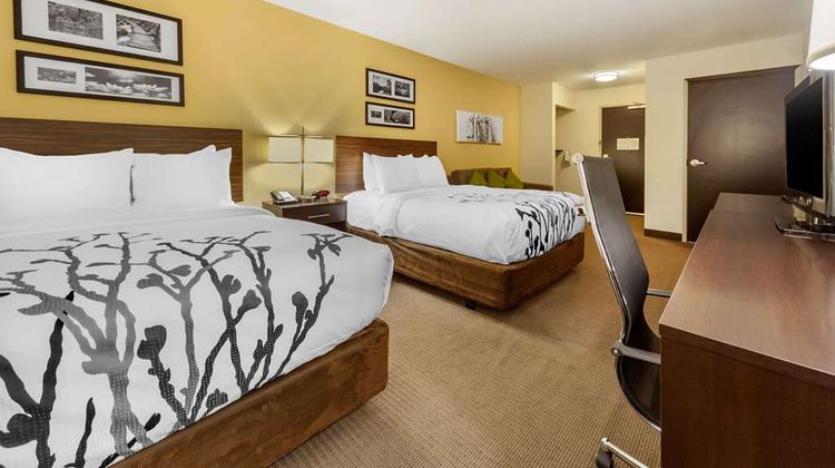 Sleep Inn & Suites Suite