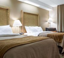 Quality Inn Room