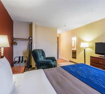 Quality Inn Room